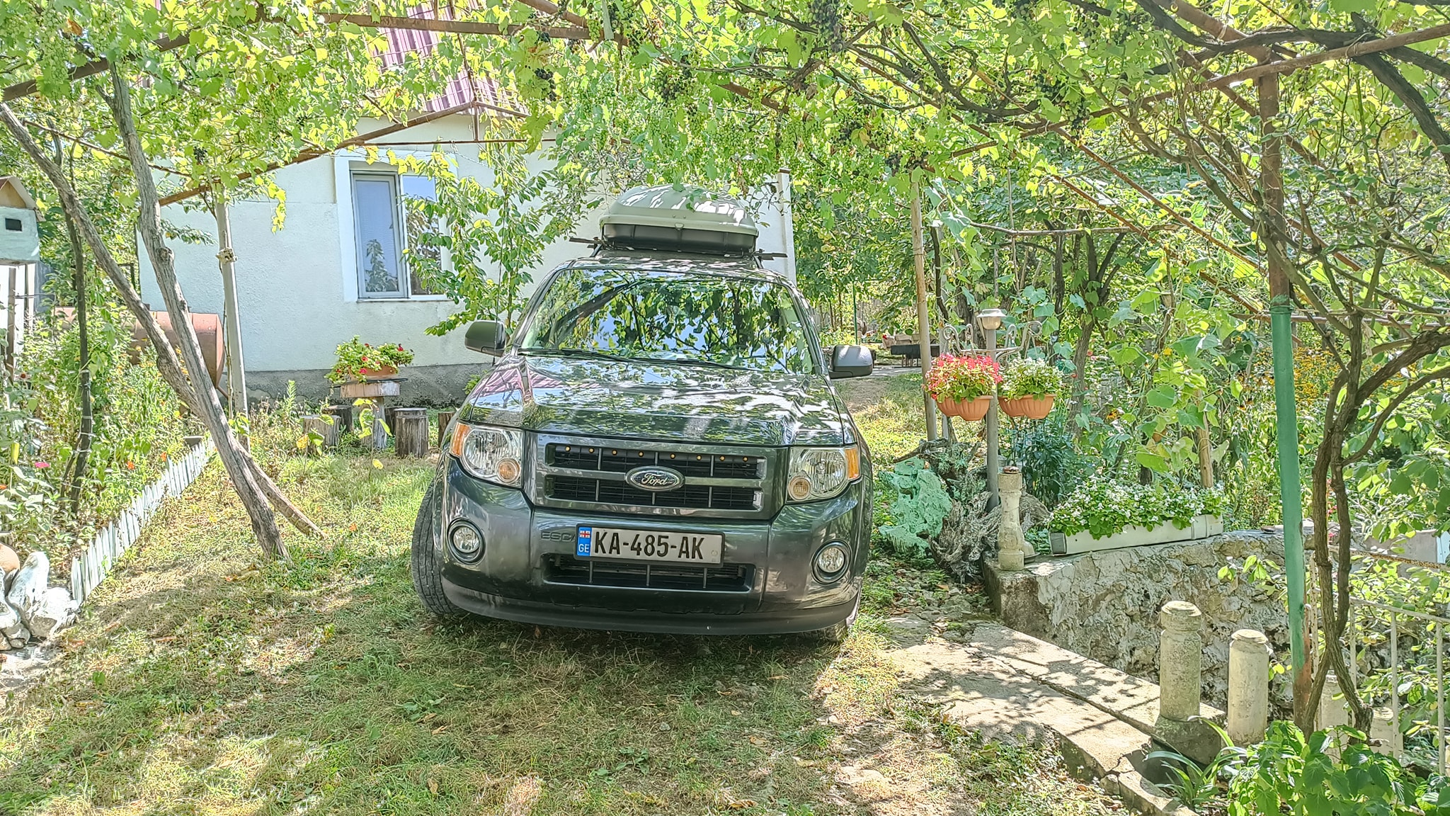 Ford Escape Hybrid ფოტო 3